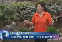 �ƌW�lչ �x�ͳɾͣ����󻨲��¸���