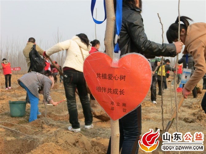 ��ֲ��(��i)�Ę�(sh��)