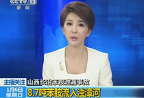 8.7������������ĺ�