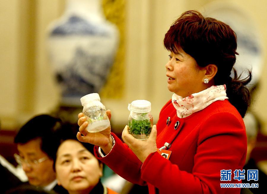 ���ɕ������ӣ��e����f��