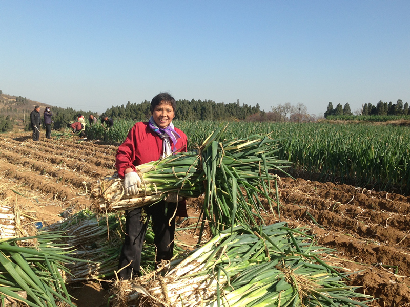 ���ի@�Ŀ옷�����������C��悵�һ���[�r�͹͂���Ď���һ�����[�������d���f����һ��֮�����ի@�ĕr����옷���������ߣ������� 15990990221.jpg