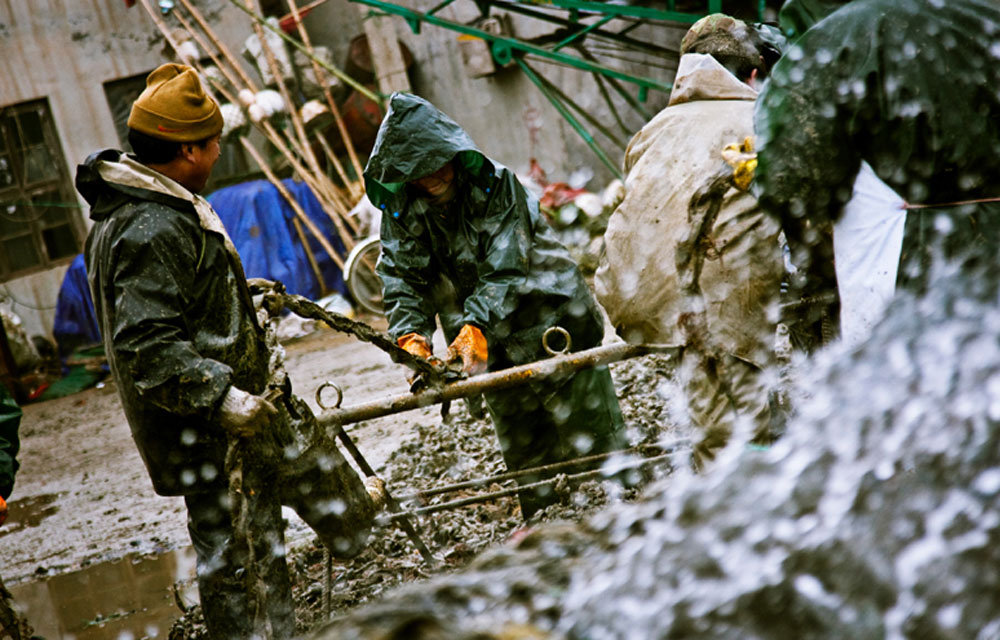 ɽ�|ʡ�����Ѝ�ɽ�^�O�a�^�ȣ����ڵ��ի@����Ĺ���������ÿС�r�Ĺ��Xֻ�ж�ʮԪ��