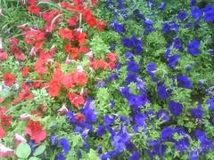 時尚手機新教主 滑蓋炫燈索愛S500i評測 時尚新概念索愛超薄滑蓋機S500i評測(8)