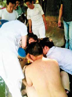 �t���ˆT�������M���ˬF�����ȣ����飨�ⱳ�ߣ���һ�Ԏ�æ���� ��� �z��