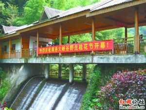 景區規定成年處女免票引爭議網友質問“咋驗證”