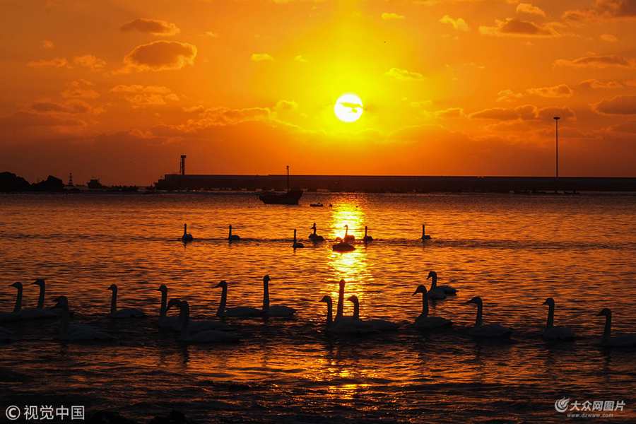 2017��12��26�գ�ɽ�|�������s�ɳ�ɽ患����Z��