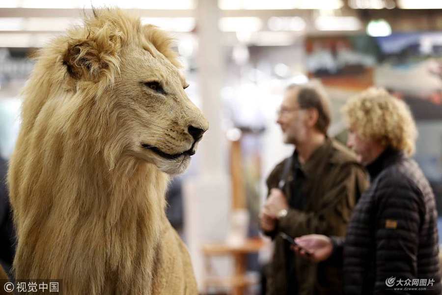 ���ؕr�g2018��1��30�գ��������ɵ£������ɵ����C���CȮչ�e�У��L�����pҰ������˱���