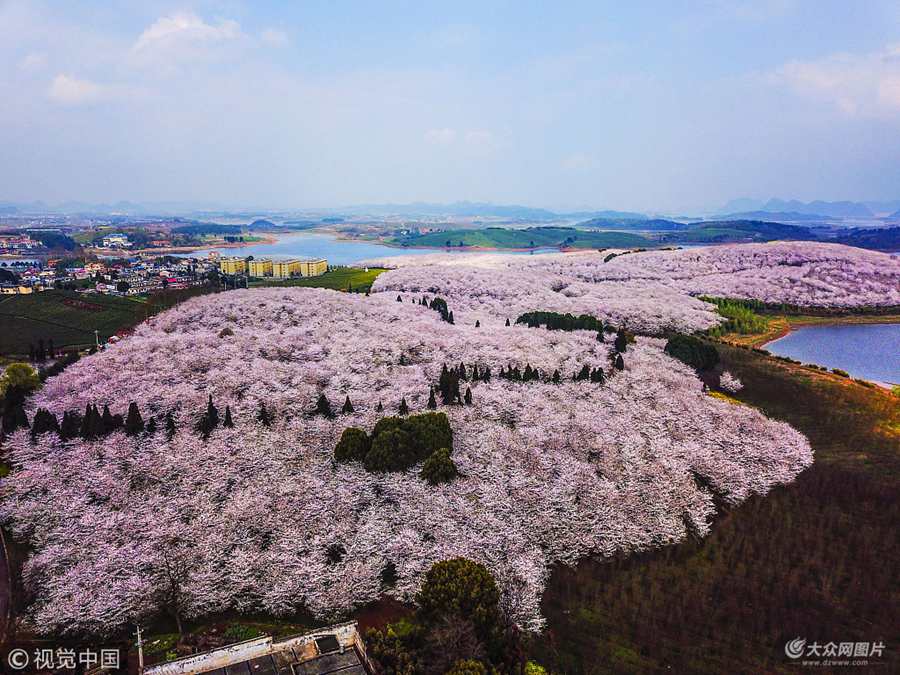 2018��3��13�գ��F��ʡ�F����F���^(q��)ԭƽ���r(n��ng)���f���ѻ����_���߿ո��ʮ�։��^�����˳�����