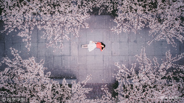 2018��3��25�գ����ݣ����ęѻ�ͬ�����ˣ����Ͻ̌W�ǣ��e��һ���Lζ��