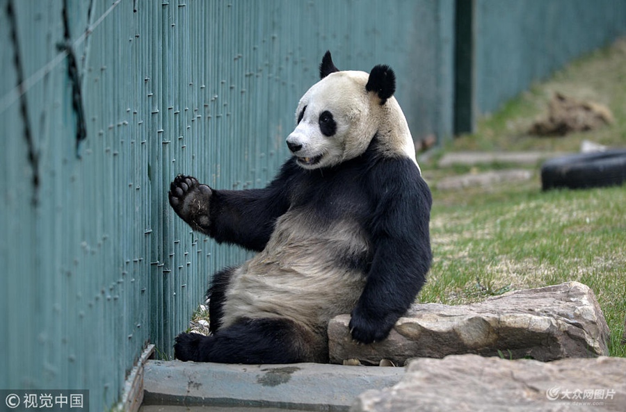 2018��5��5�գ���ꖡ�3���ĕr�g��˂�һֱҕ���顰����������Äӡ��Ɖ����������Q���顰���wŮ������Ȼ���S������u�L�������挍�Ԅe�l(f��)�������D(zhu��n)��