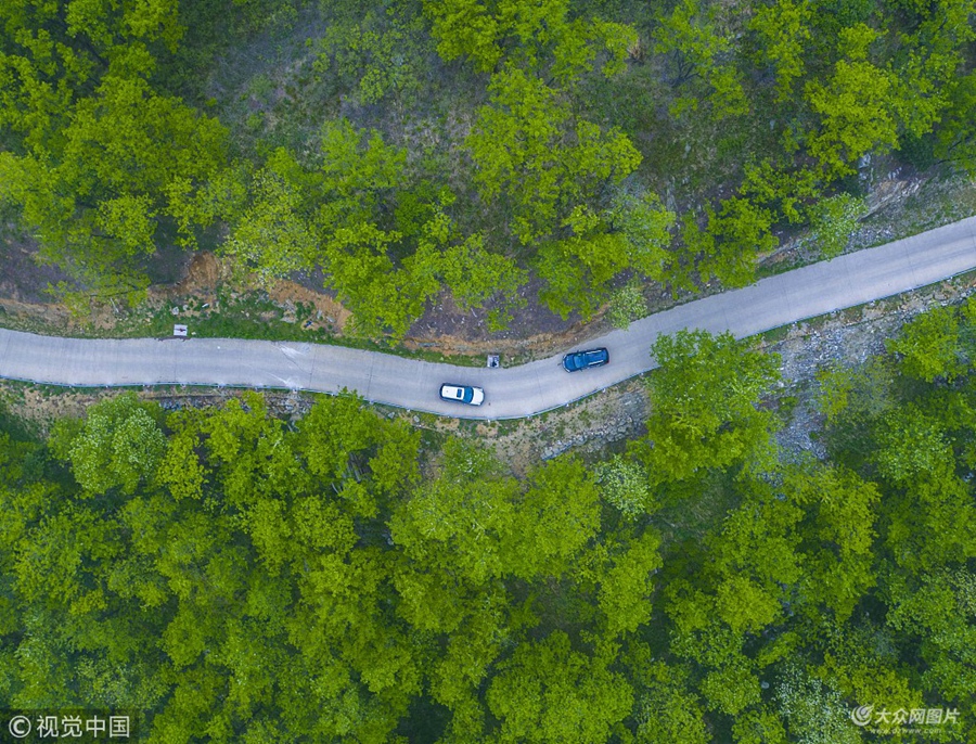 2018��5��12�գ�2018Ԋ����ɽ�׌���ɽ���{���μ����A���Ӄxʽ��ɽ�|�Rʏ�_Ļ������ʡ�ȸ��ص��ϰ��v���{܇����Խ�������۵�ɽ·�������𺳉��^��