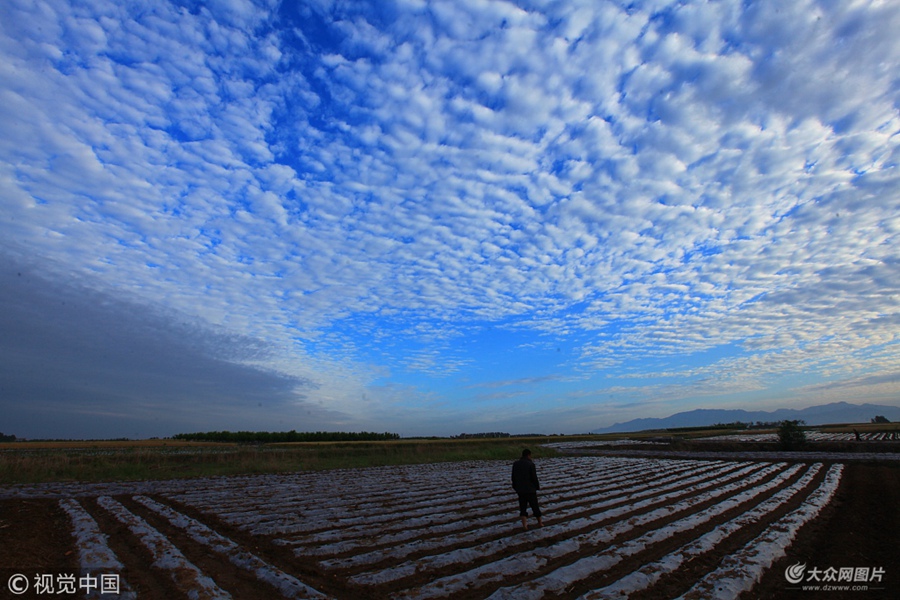 2018��5��21�գ�ɽ�|�R�ʣ���ƽ�ؿh���´���ճ��F���~�[�ơ����^���峿��ɽ�|ʡ�R����ƽ�ؿh���´��Ͽճ��F�~�[�ƾ��^������Ʋ����{�����Ұ��ӳ�r�£��������ա�