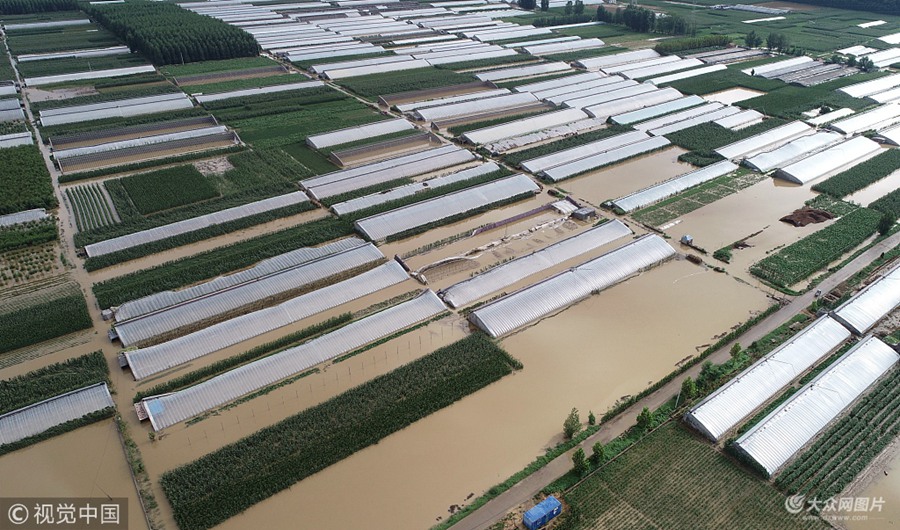 2018��8��20�գ��o�˙C�Ĕz��ɽ�|ʡ�R�������Ͽh������r��һƬ����