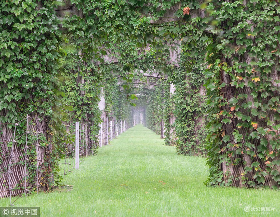 2018��9��2�գ��ɶ����h·�߼ܘ��¾G�������ɶ����h·�߼ܘ򣬲�����һ�N�ʸ�������ֲ���ɽ���������^����r�g��Ԣ�ⰻȻ�ġ���ɽ�����ѽ��L�M��ա�