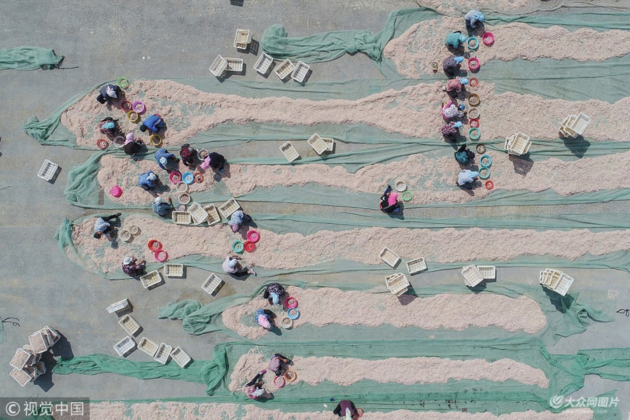 2018��9��5�գ�ɽ�|�I�ݣ��������؅^(q��)���ĺ��a(ch��n)Ʒ��؛���l(f��)�Ј����ڵ��T���(zh��n)����?sh��)ش������ڞ�֒����N��؛æµ���������@���ИI(y��)�Ĵ󶼞����������؋DŮ�������㲻����Ҳ�ܒ굽��s60Ԫ���ҵİ���н��