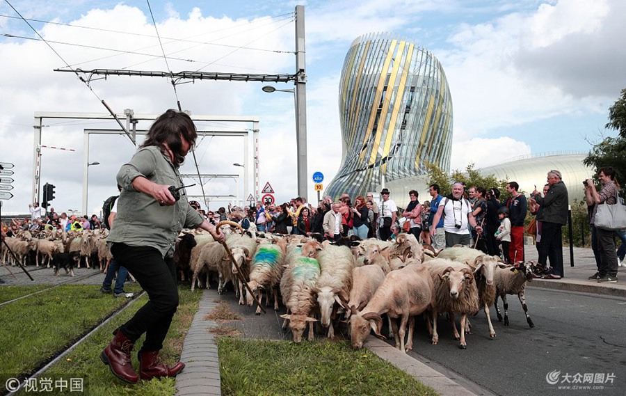 ��(d��ng)?sh��)ؕr�g2018��10��6�գ����������࣬һǧ�^�򴩳Ƕ��^��