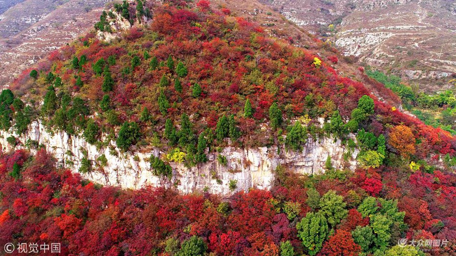 2018��10��14�գ�ɽ�|ʡ�H�������ЏR��悾���������ɽ���ϼt�~�ƻ𣨟o�˙C�Ĕz����