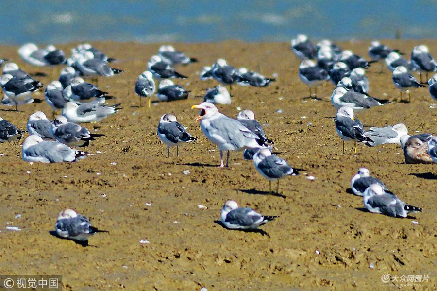 2018��10��17�������u�z�ݞ��ذ����������β�t���y�t���t���t���t�B�y����Ⱥ���B��m���wԽ��������������������