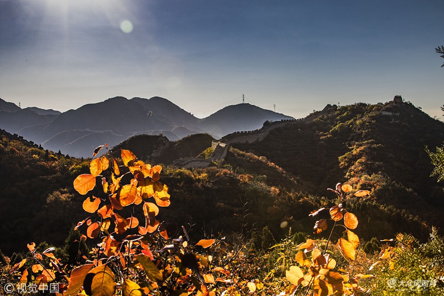 2018��10��18�����磬���������_�X����ɭ�ֹ��@�t�~�X������r���t�~�Mɽ�£��M�@�����ﾰ��