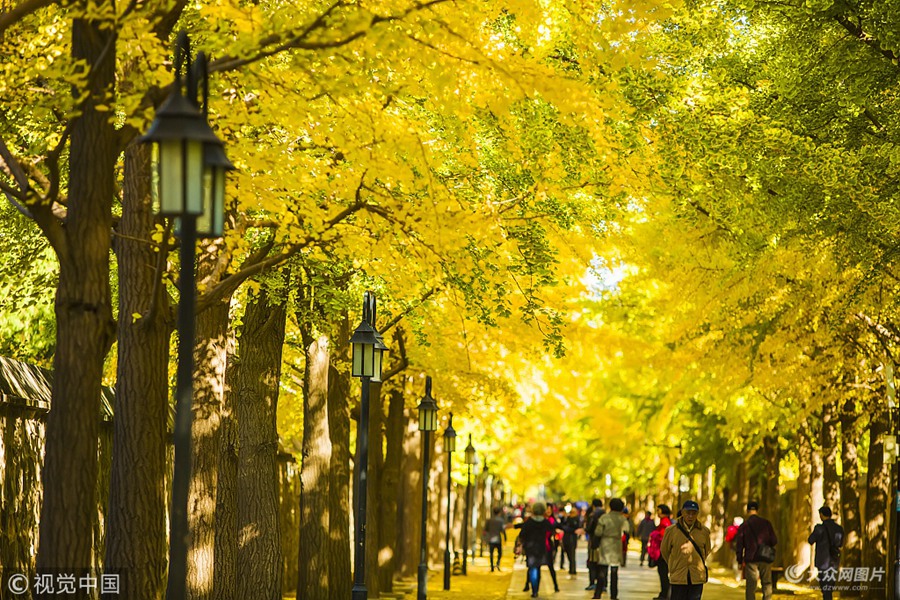 2018��10��23�գ�������˪�����⣬�A���@��ɫ���⣬�Ʋ��Q���������箋�������ο�ǰ���^�p��