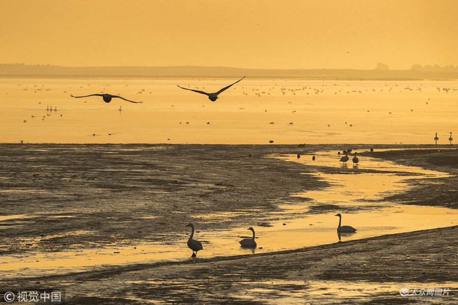 2018��12��10�գ�ɽ�|�������s�������Z���ϬF(xi��n)�ճ��k���������^�����Zѩ�бM������ůꖡ�