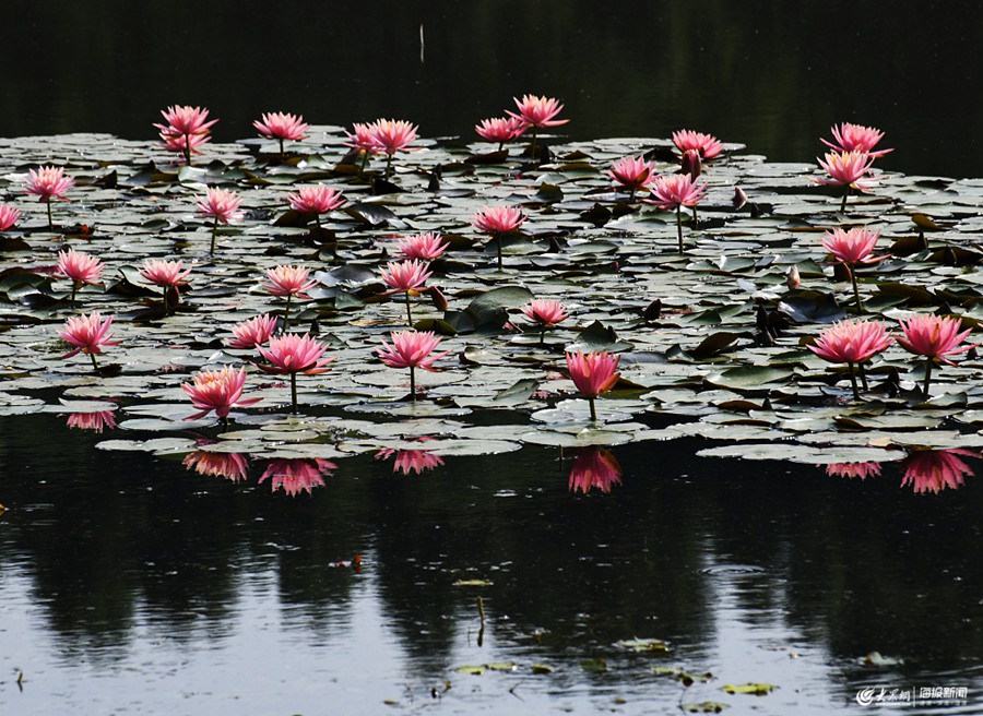 ���f������˯ɏ��ʢ�_