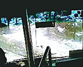 ���L����