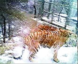 ����27�ο��⾰�^��Ⱥ���� ���[܇���L��������