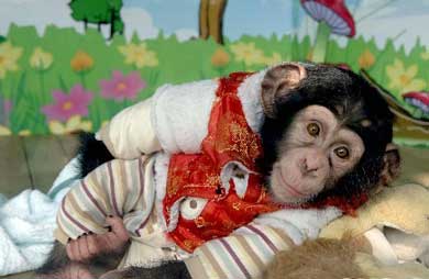 ���������b���\������