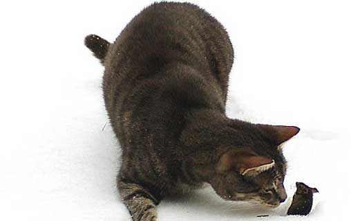 �F(xi��n)��(sh��)�桰؈������