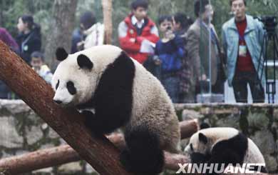 ����������؈����ʽ����