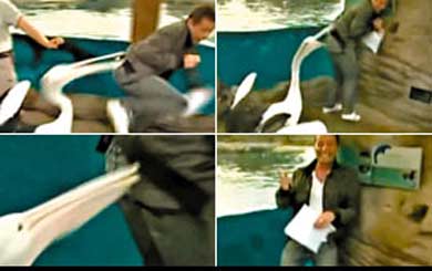 ����������ֱ���r(sh��)���Y������