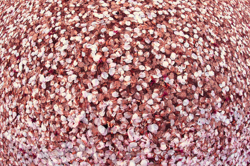 ���壺�N���ѻ� ��Ӣ�_�� �^���ѻ��D��