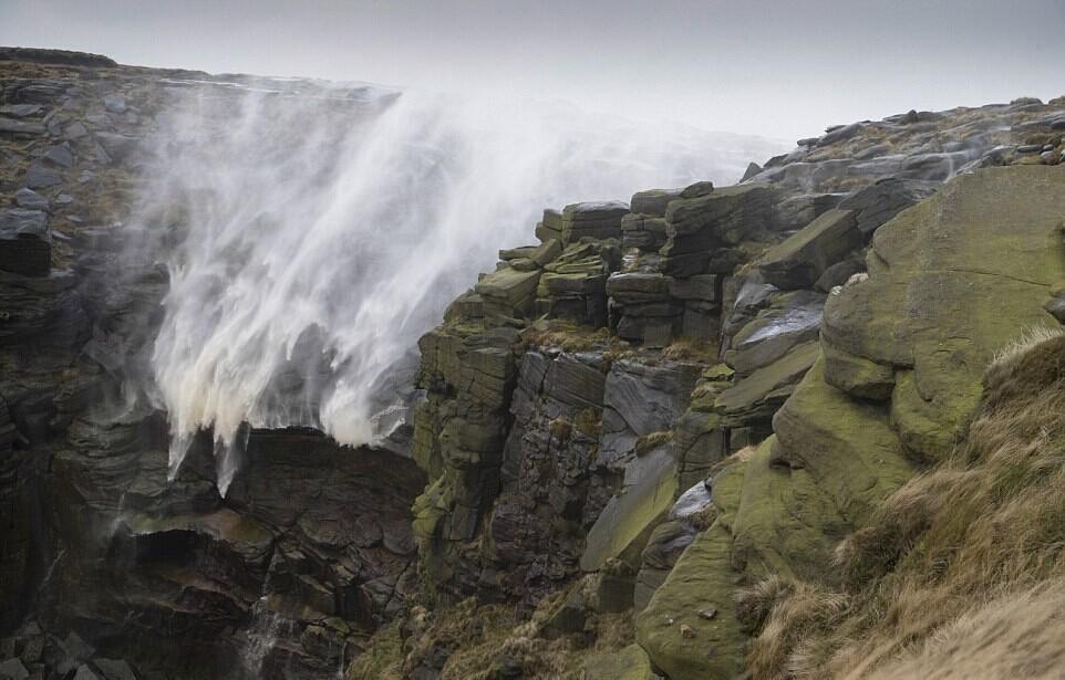 �Z�L(f��ng)ϯ��Ӣ�� ��(qi��ng)�L(f��ng)�����ٲ�����