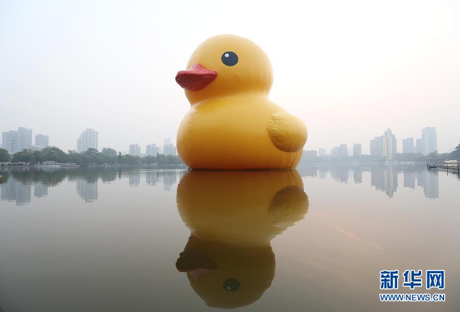 10��20���������S����Ư�����Ͼ�Ī����ϡ��������ɺ��mˇ�g�һ������OӋ�����桰���S���������Ͼ�Ī������c����Ҋ���� ���A��l������ �z��