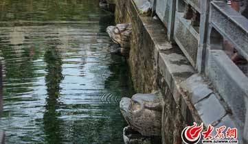 趵突泉水位再創新低 黑虎泉二虎頭停噴