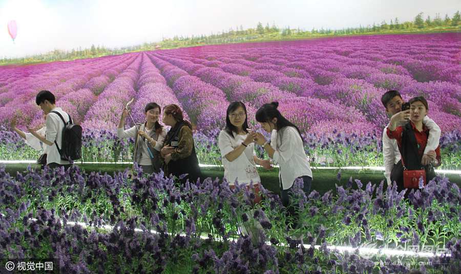 4��30�գ���ɽ�|��(j��)��Ȫ��·�ϣ�һ�̈�(ch��ng)�T(m��n)�ھ޷�޹�²ݻ������پ�����������������ǰ��(l��i)��������M����һ�S����һЩ����](m��i)���h(yu��n);���У����Լفy��Į�(hu��)��ӛ����֙C(j��)�в��٘�(l��)Ȥ��