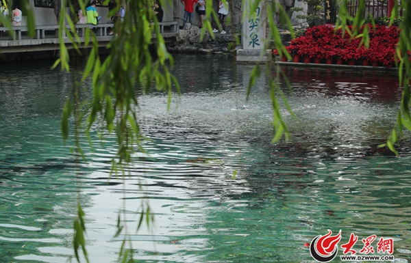 2���M(j��n)��5�·ݣ���ͻȪˮλ��һֱ��27.90����28.01��֮�g�ǻ���һֱ���Ƴ�ɫ���侀���󱊾W(w��ng)ӛ�� ���L�� �z_����.jpg