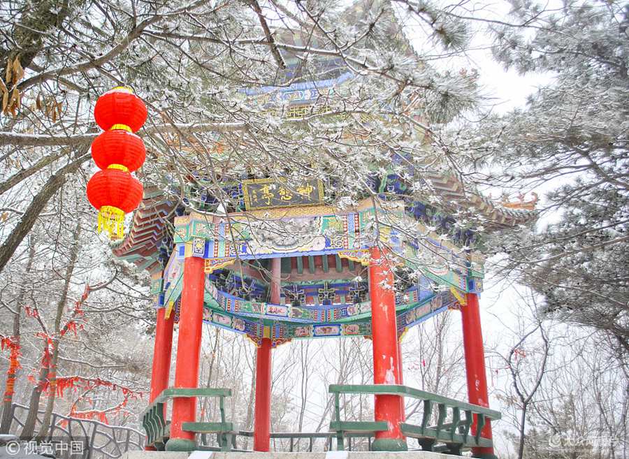 2018��2��21����ɽ�|�R�ʣ��������ڵ����һ�������S����ѩ���R������ɽ���ɾ��^���F����ѩ�Fڡ���^��