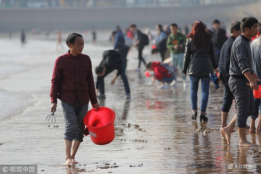 2018��11��9�գ����u�� �˂������u���򺣞��s��ץ�з��