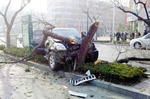 ɽ�|̩�����˘��� ·�˷Q������ű��ڡ�(�D)